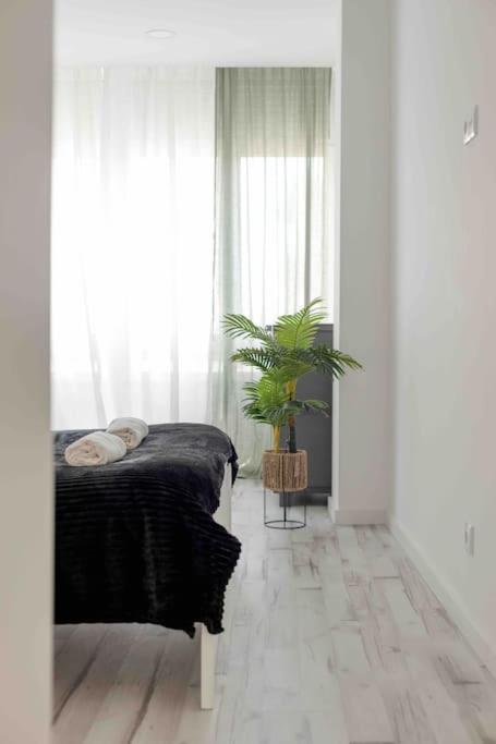 Apartment Lovely 3-bedroom W/ Free Parking On Premises Queluz
